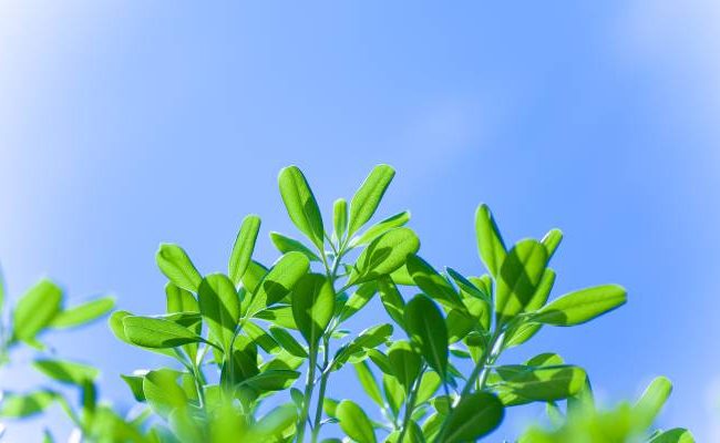 Air Quality in the workplace